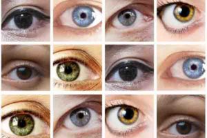 ¿Qué colores pueden tener los ojos?